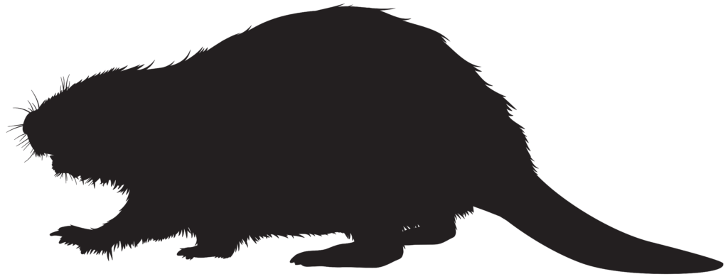Opis Totem Beaver-a