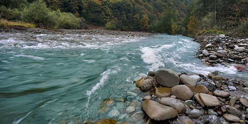 4 decembrie în ce zi a săptămânii