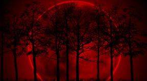 Znakovi za mladi mjesec, pun mjesec, crveni mjesec Da li je moguće pogledati znakove krvnog mjeseca