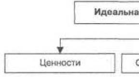 Societatea ca sistem sociocultural: abordări ale definiției Societatea ca sistem social cultural