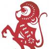 Capricorn Monkey - what character does a person have