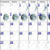 Lunarni kalendar za februar