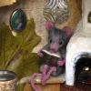Why mice appear in the house: a detailed interpretation of signs
